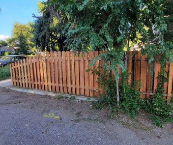 A wooden fence beside a road with greenery and overhanging trees on a sunny day.