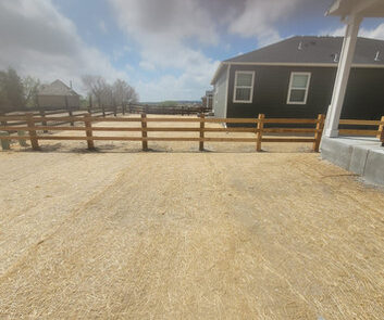 A backyard with dry straw-covered ground, a wooden fence, and neighboring houses under a cloudy sky.